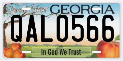 GA license plate QAL0566