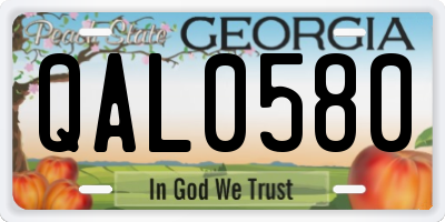 GA license plate QAL0580