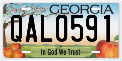 GA license plate QAL0591