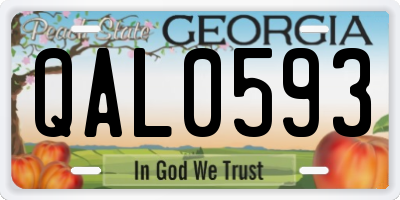 GA license plate QAL0593