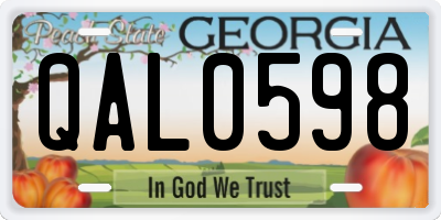 GA license plate QAL0598