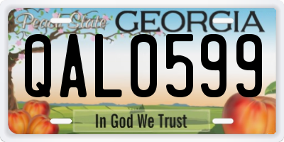 GA license plate QAL0599