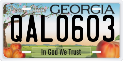 GA license plate QAL0603