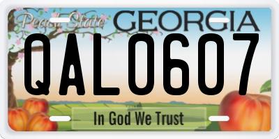 GA license plate QAL0607