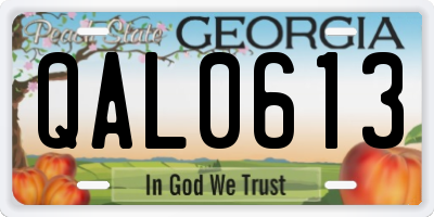 GA license plate QAL0613