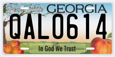 GA license plate QAL0614