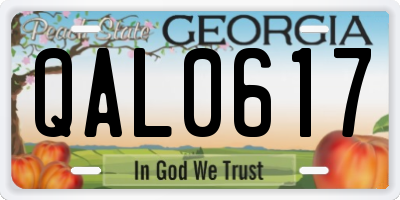 GA license plate QAL0617
