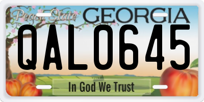 GA license plate QAL0645