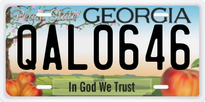 GA license plate QAL0646