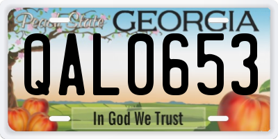 GA license plate QAL0653