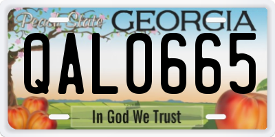 GA license plate QAL0665