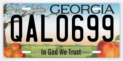 GA license plate QAL0699