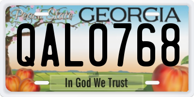 GA license plate QAL0768