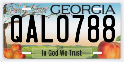GA license plate QAL0788