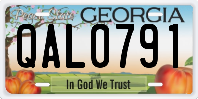 GA license plate QAL0791