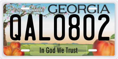 GA license plate QAL0802