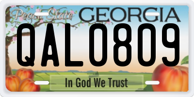 GA license plate QAL0809
