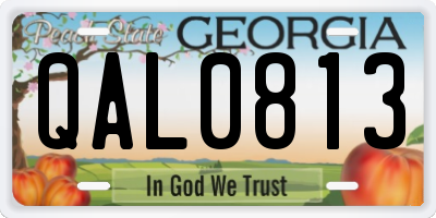 GA license plate QAL0813