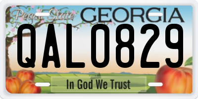 GA license plate QAL0829