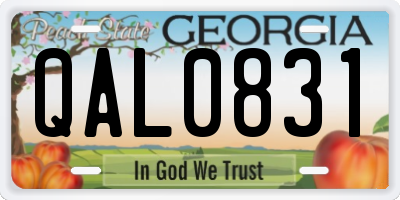 GA license plate QAL0831
