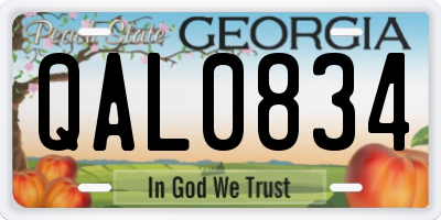 GA license plate QAL0834