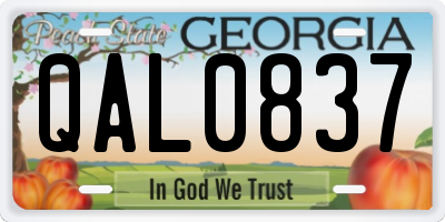 GA license plate QAL0837