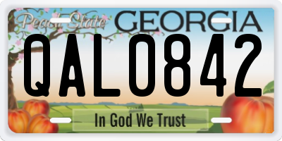 GA license plate QAL0842