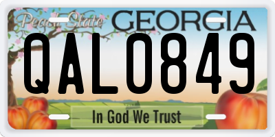 GA license plate QAL0849