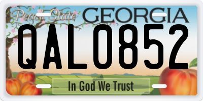 GA license plate QAL0852