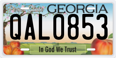 GA license plate QAL0853