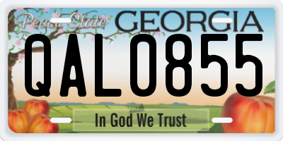GA license plate QAL0855