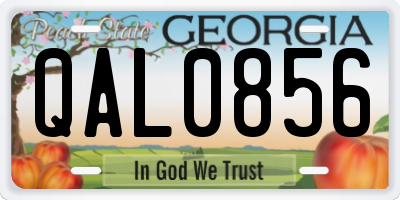 GA license plate QAL0856