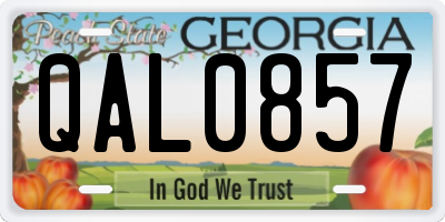 GA license plate QAL0857