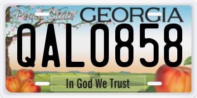 GA license plate QAL0858