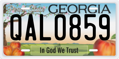 GA license plate QAL0859