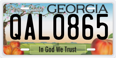 GA license plate QAL0865