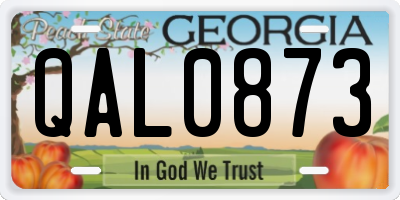 GA license plate QAL0873
