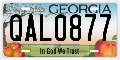 GA license plate QAL0877
