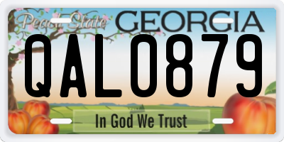 GA license plate QAL0879