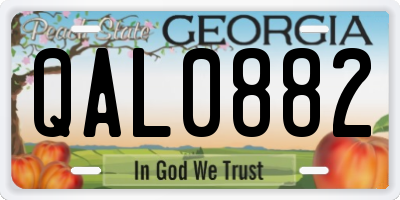 GA license plate QAL0882
