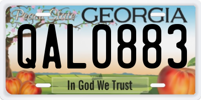 GA license plate QAL0883