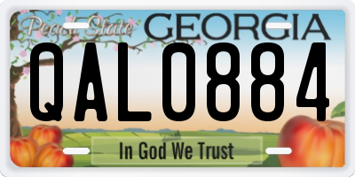 GA license plate QAL0884