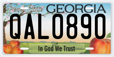 GA license plate QAL0890