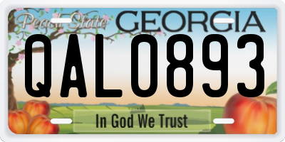GA license plate QAL0893