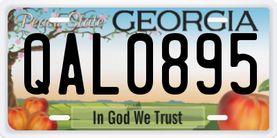 GA license plate QAL0895