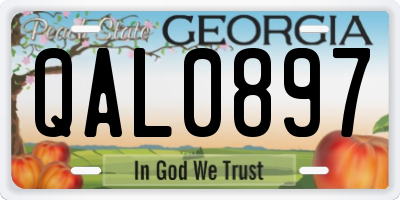 GA license plate QAL0897