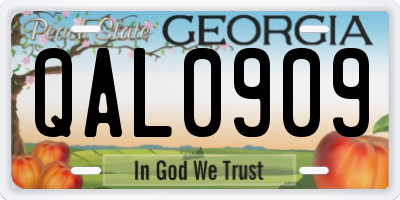 GA license plate QAL0909