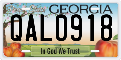 GA license plate QAL0918