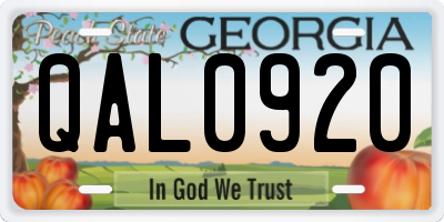 GA license plate QAL0920