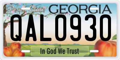 GA license plate QAL0930